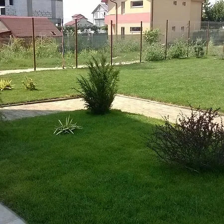 Cezar